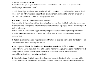 Effektiv riskanalys projekt: Ladda ner gratis mallar för riskhantering