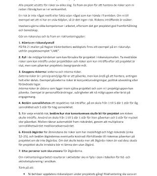 Effektiv riskanalys projekt: Ladda ner gratis mallar för riskhantering